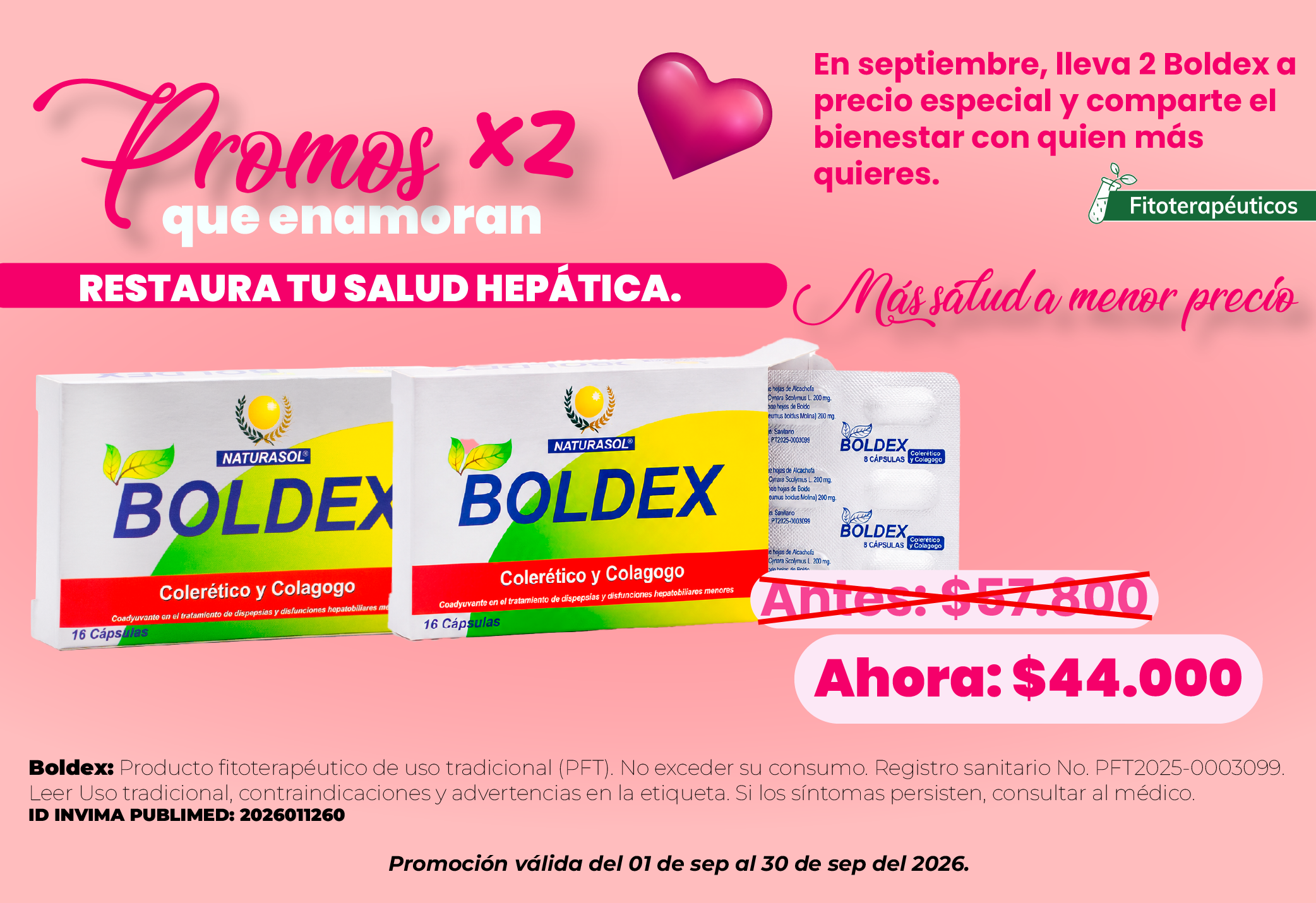 BANNERS PAGINA WEB BOLDEX X 2 SEP-08